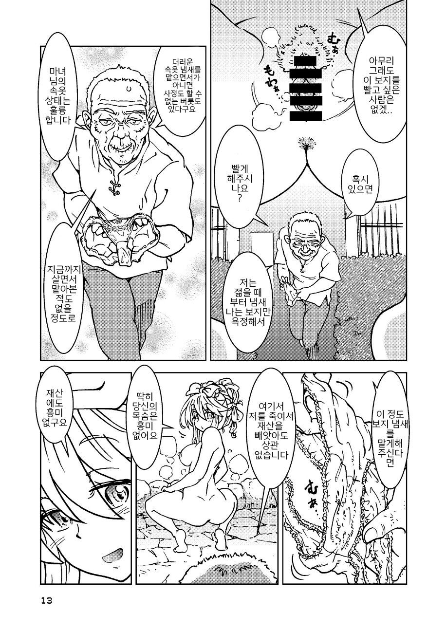 (C100) [Madakoya (Madako)] Tabitabi Nikki ni wa Shirusenakatta Koto. 3 (Majo no Tabitabi) [Korean] image number 13