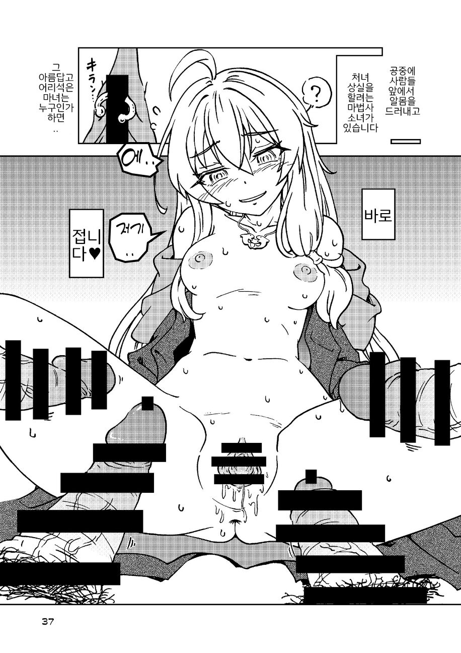 (C100) [Madakoya (Madako)] Tabitabi Nikki ni wa Shirusenakatta Koto. 3 (Majo no Tabitabi) [Korean] image number 37