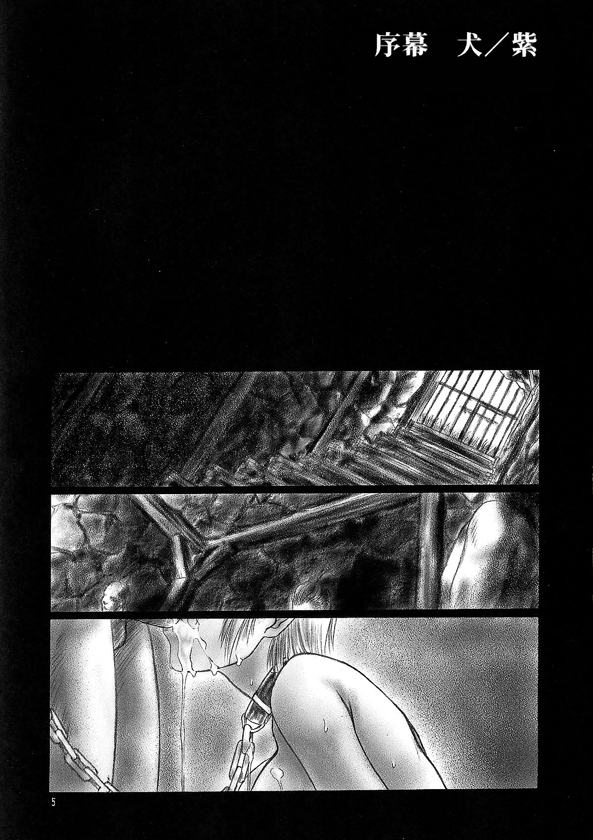 (C58) [Hellabunna (Iruma Kamiri)] INU/MURASAKI (Dead or Alive) [Decensored] numero di immagine  4