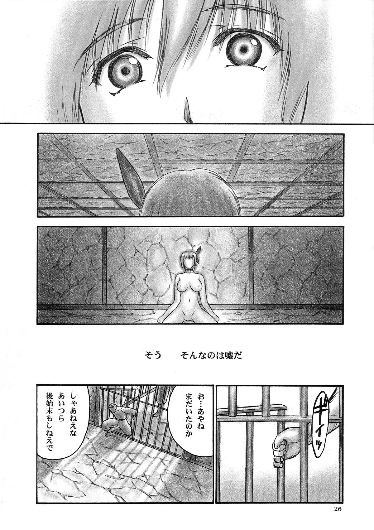 (C66) [Hellabunna (Iruma Kamiri)] INU/Intimacy (Dead or Alive) [Decensored] 图片编号 24