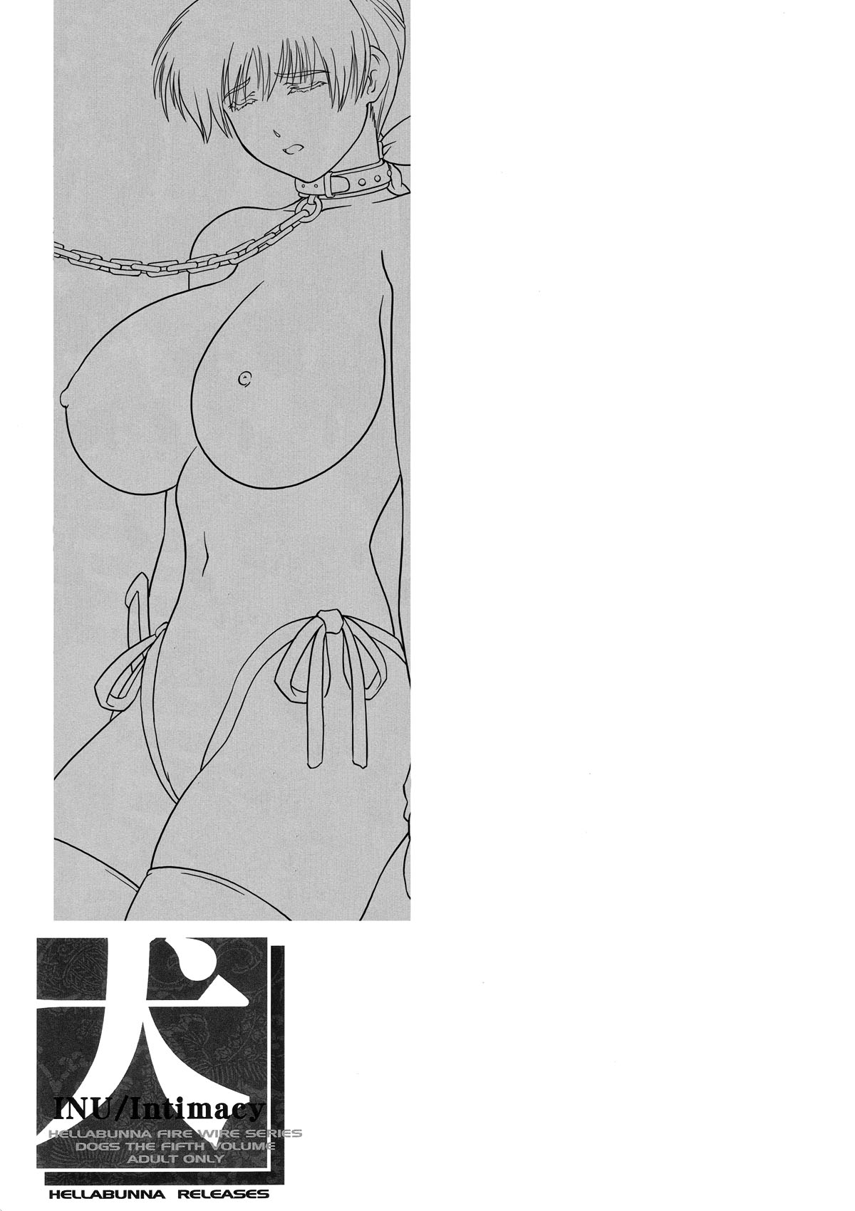 (C66) [Hellabunna (Iruma Kamiri)] INU/Intimacy (Dead or Alive) [Decensored] 图片编号 54