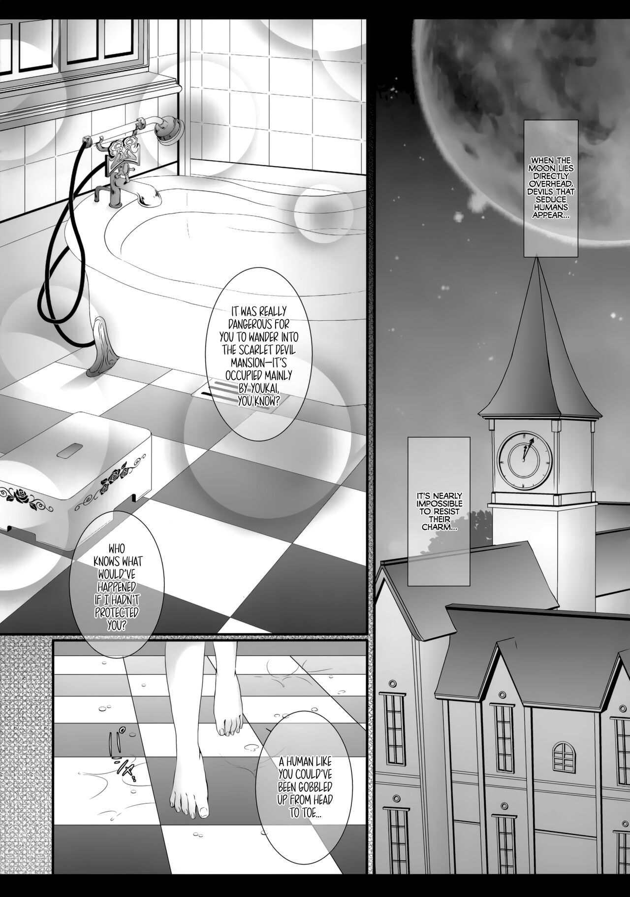 (C85) [Setoran (Itou Seto, Tanno Ran)] silhouette silhouette (Touhou Project) [English] [Fap It Scans] 图片编号 4