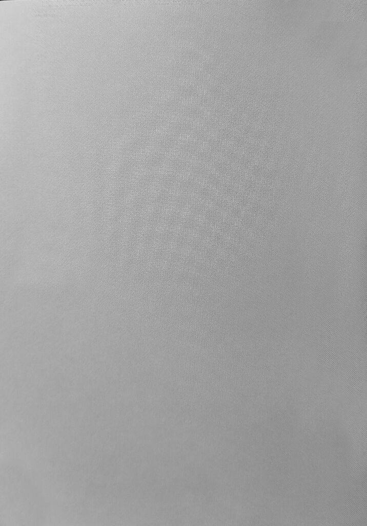 (#Nijisousaku 6) [Shion] Neko no Iru Seikatsu | 有猫的生活 (ChroNoiR) [Chinese] [看海汉化组] numero di immagine  11