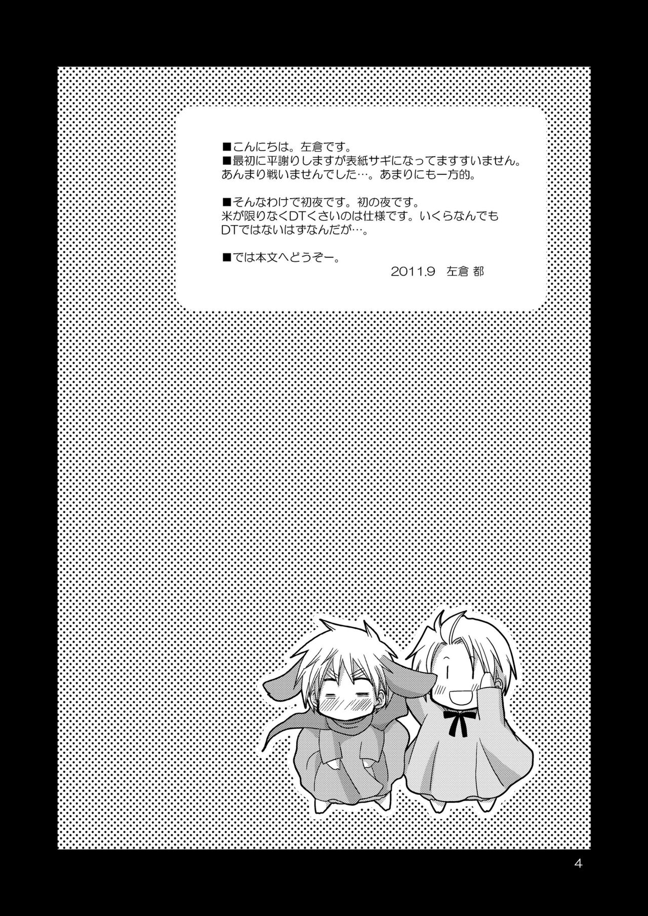 [Hidariya (Sakura Miyako] FIrst night Fighters (Axis Powers Hetalia) [Digital] 画像番号 4