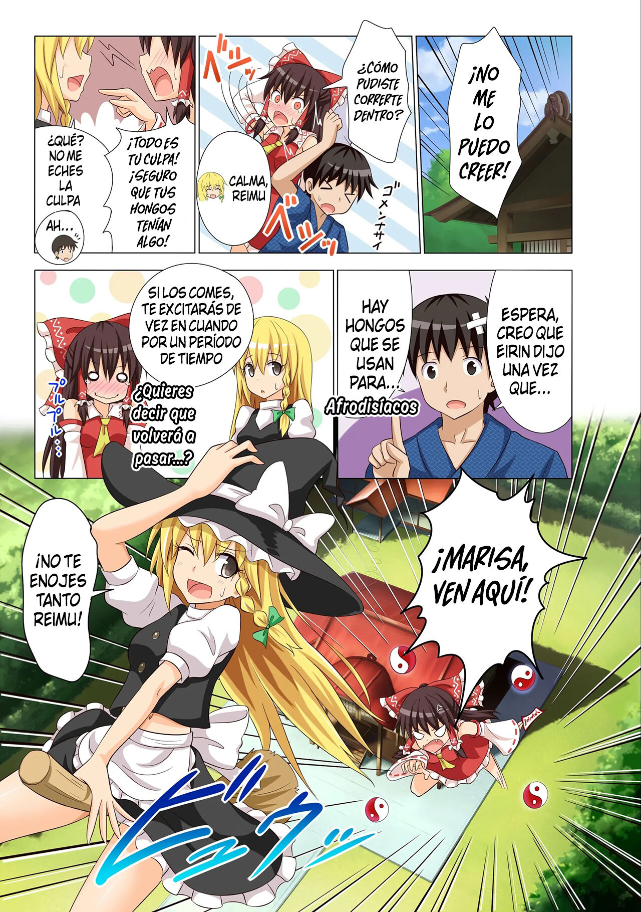 [Kamikadou (Ginyou Haru)] Gensoukyou Rakuenka Keikaku 10 (Touhou Project) [Spanish] [Digital] numero di immagine  14