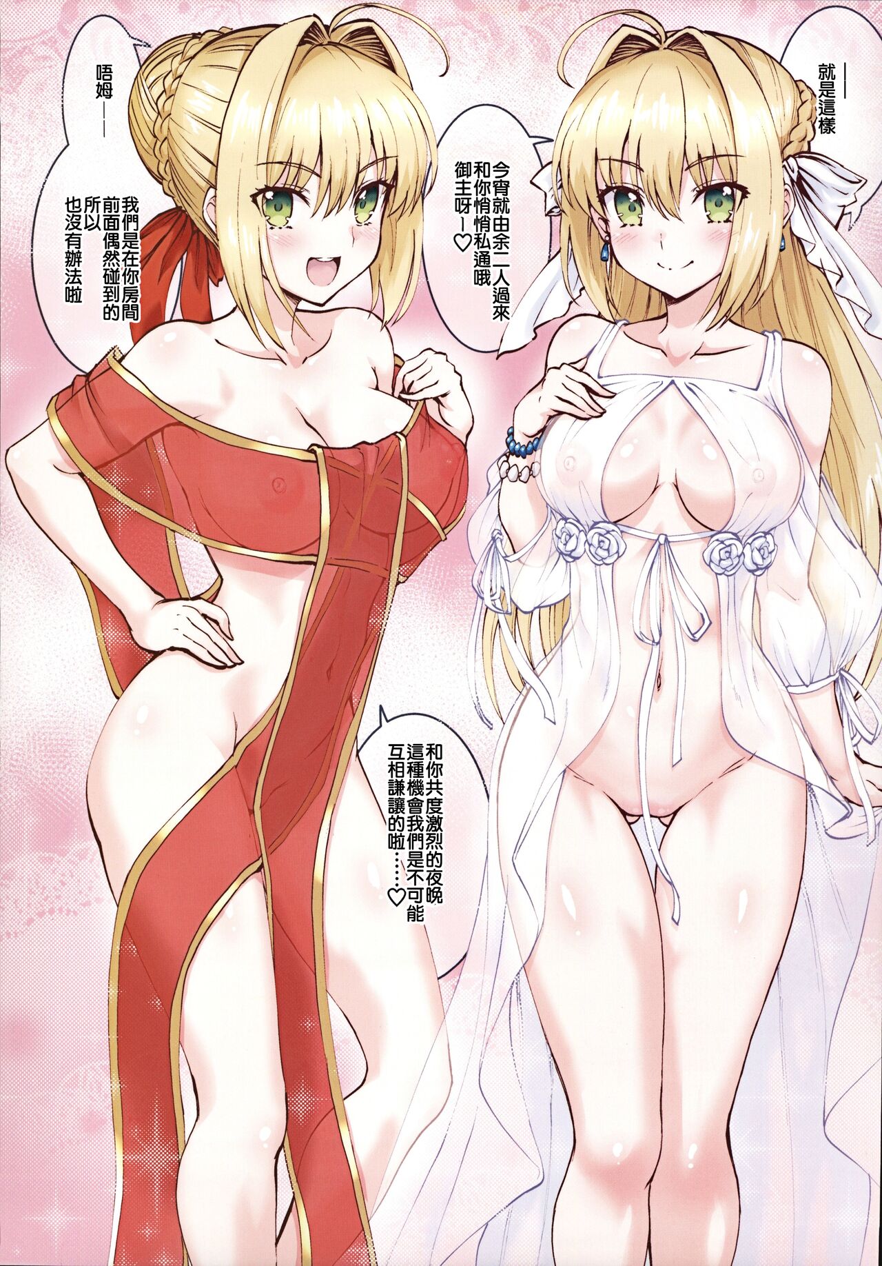 (C97)[ROHGUN_KYOH (Rohgun)] Nero+Nero! 2 finale | 尼禄+尼禄! 2 最终回 (Fate/Grand Order) [Chinese] [ExtraAi个人汉化] image number 19