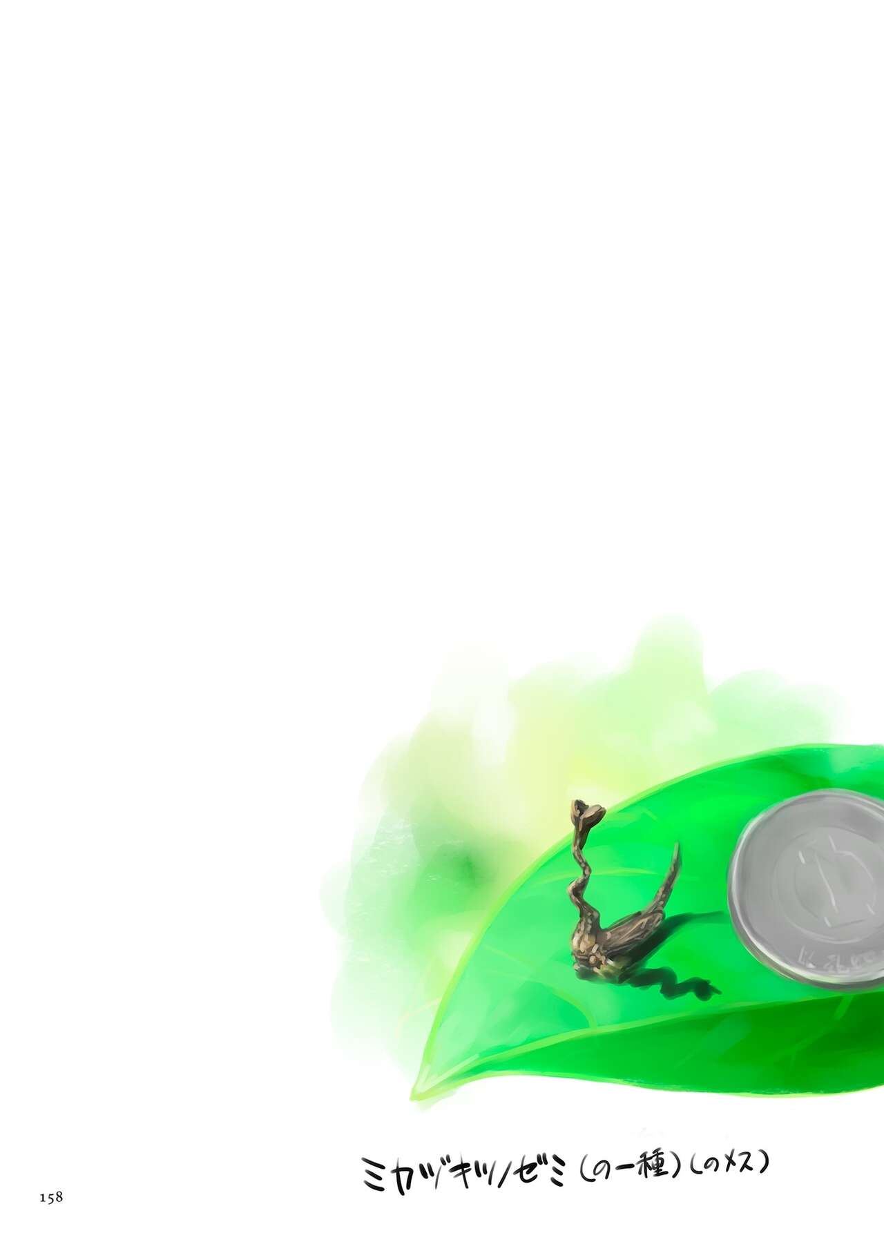 [ZERRy Fujio] Fujicolor [Digital] 画像番号 158