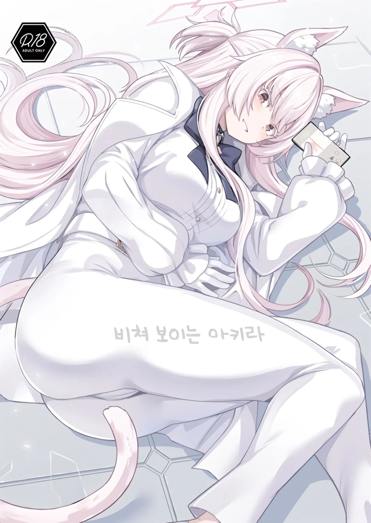 (C102) [Ohanabatake (Siseki Hirame)] Sukitoutta Akira | 비쳐보이는 아키라 (Blue Archive) [Korean] 图片编号 1