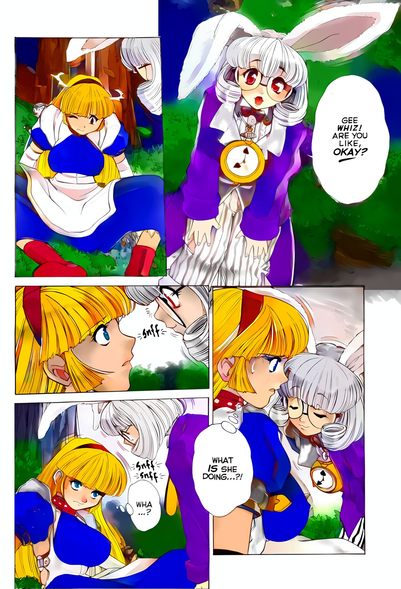 [Juubaori Mashumaro] ALICE IN SEXLAND 1 in COLOR numero di immagine  7