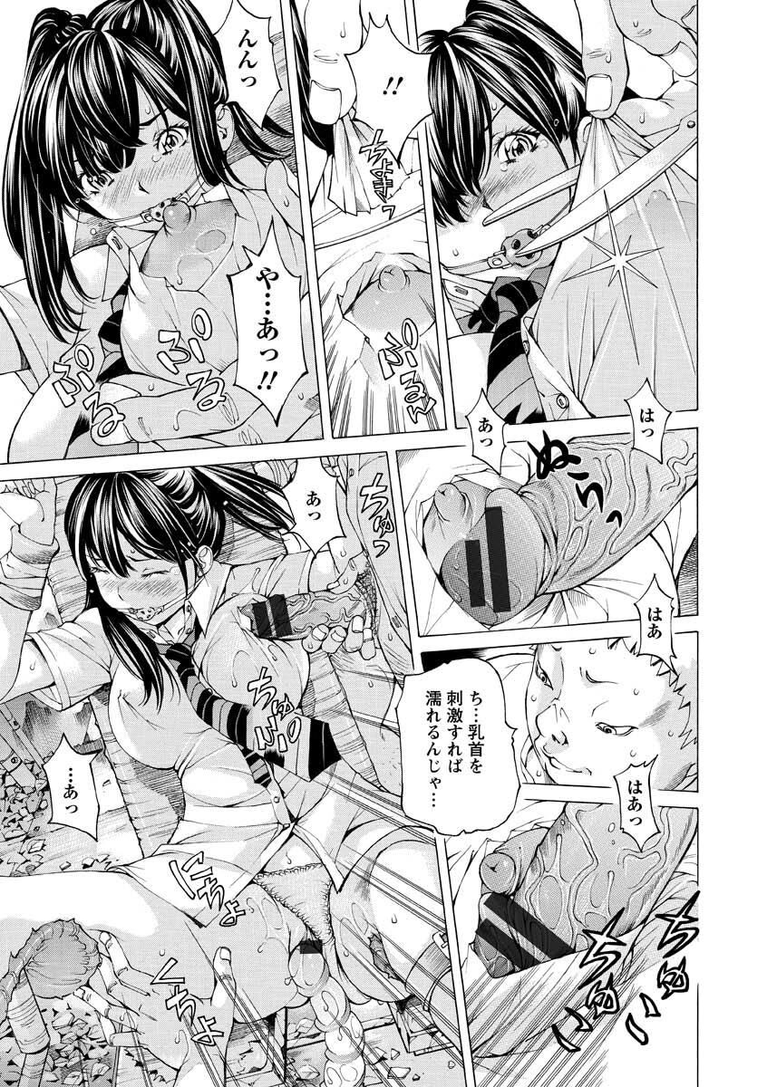 [Nohara Hiromi] Seigangu Kousoku Ningyou [Digital] 37eme image