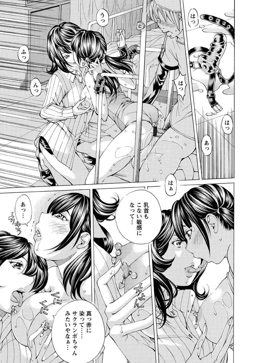 [Nohara Hiromi] Seigangu Kousoku Ningyou [Digital] 185eme image