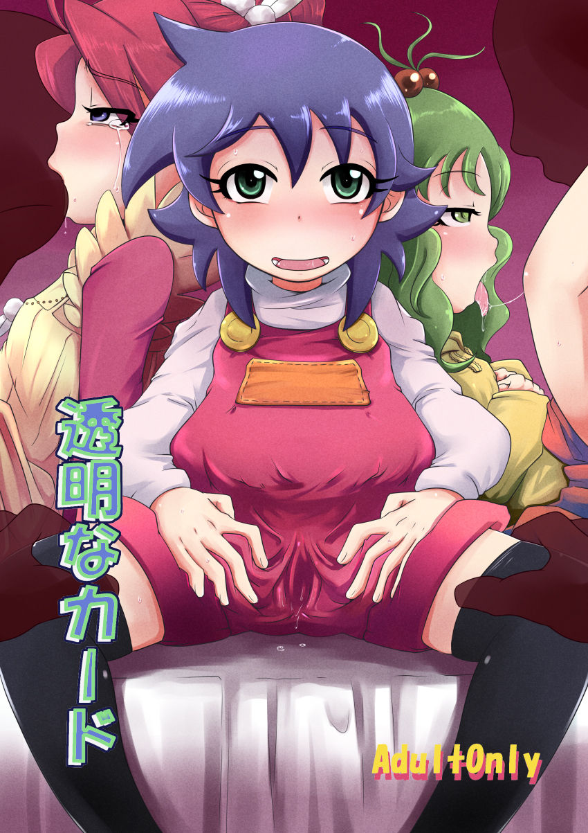 (C77) [HellDevice (nalvas)] Toumei na Card | 투명한 카드 (Live On Cardliver Kakeru) [Korean] numero di immagine  1