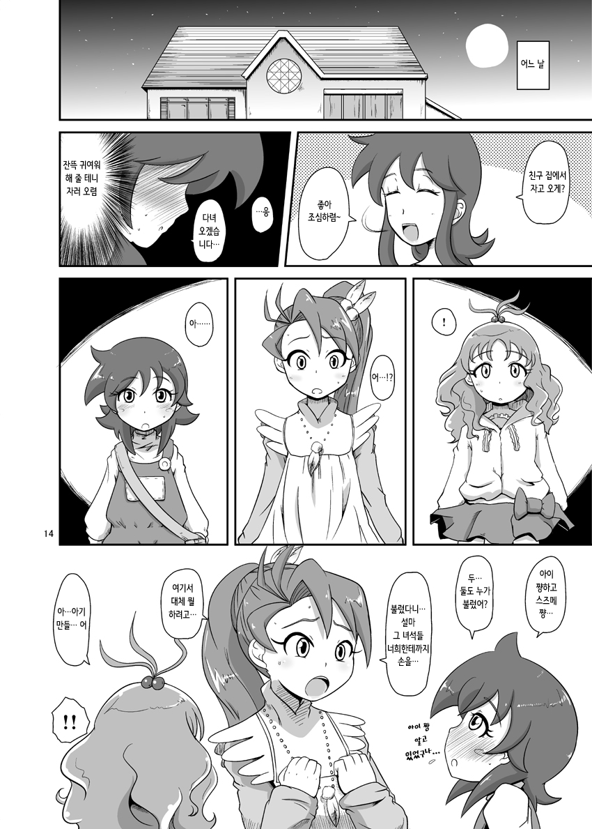 (C77) [HellDevice (nalvas)] Toumei na Card | 투명한 카드 (Live On Cardliver Kakeru) [Korean] numero di immagine  15