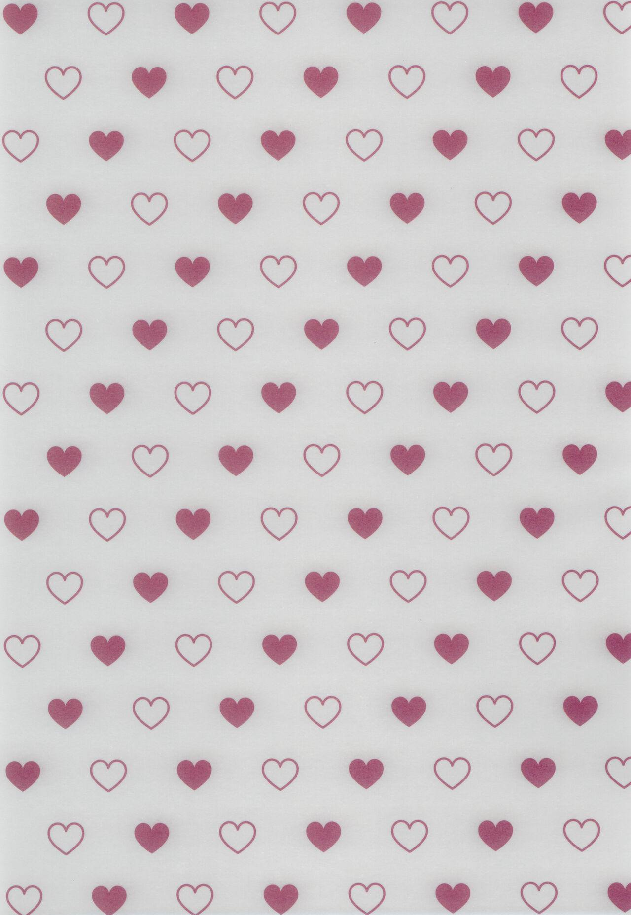 [Flieger (Ten)] Youkaigo Lv. 4 [Chinese] [2023-09-10] image number 3