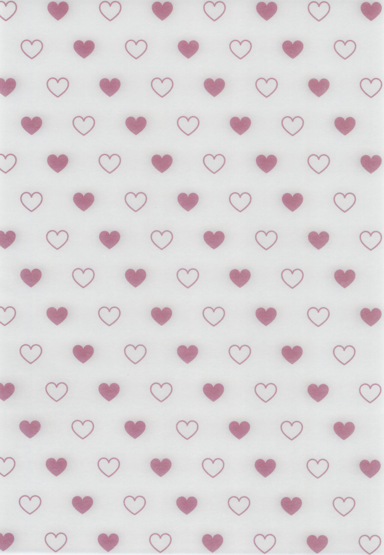 [Flieger (Ten)] Youkaigo Lv. 4 [Chinese] [2023-09-10] image number 4