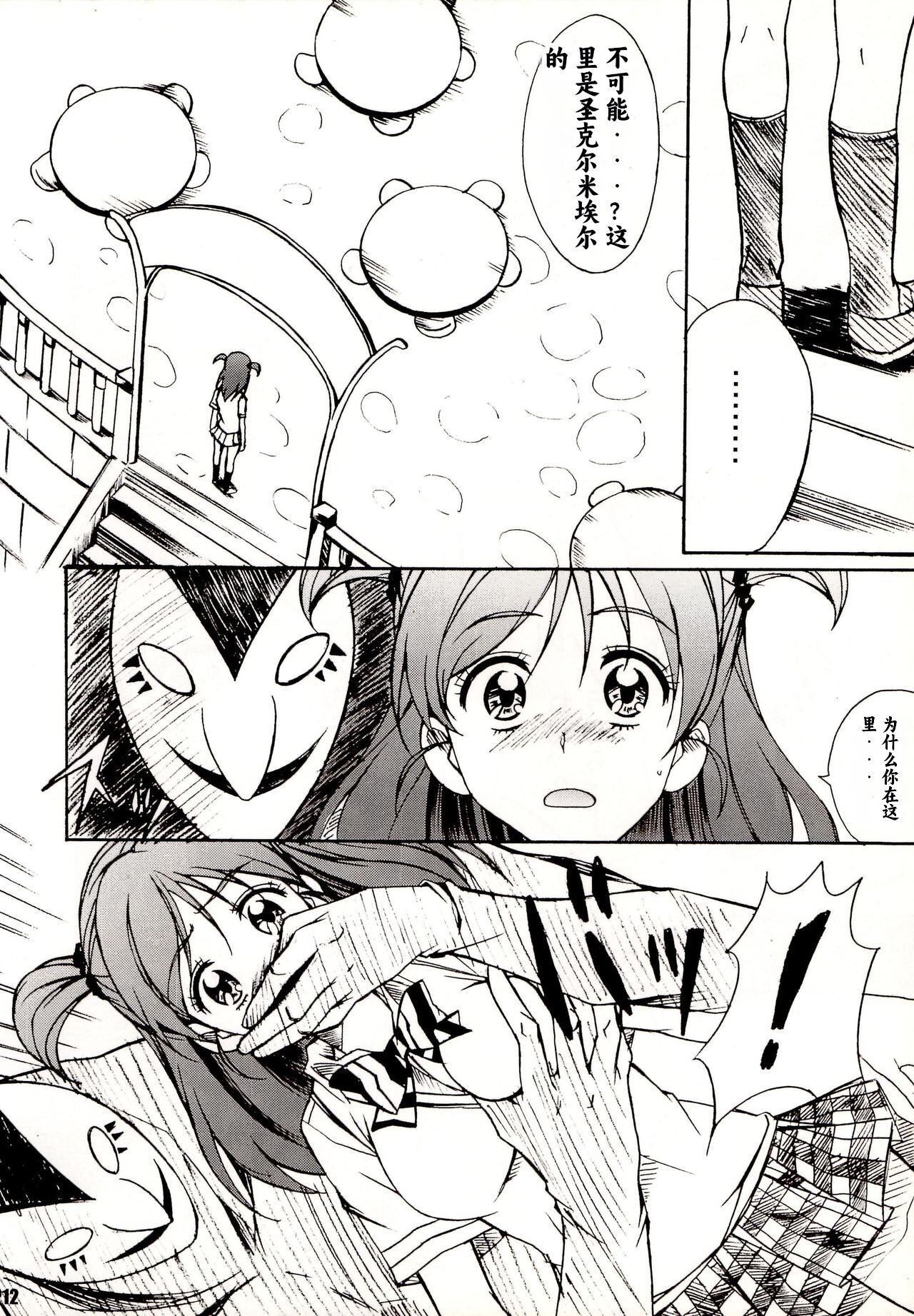 (C74) [Hacchakesou (PONPON)] Otonanopuri 5 (Yes! Precure 5) （个人团子翻译） 图片编号 12