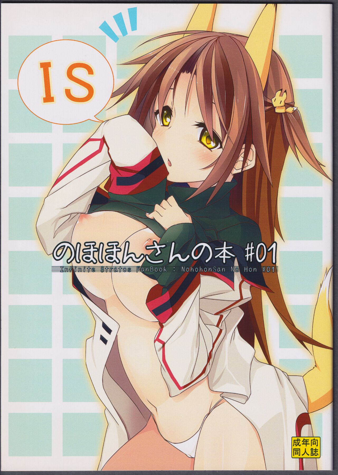 (C81) [STRAY SHEEP (Mino Inomi)] Nohohon-san no Hon #01 (IS <Infinite Stratos>) image number 1