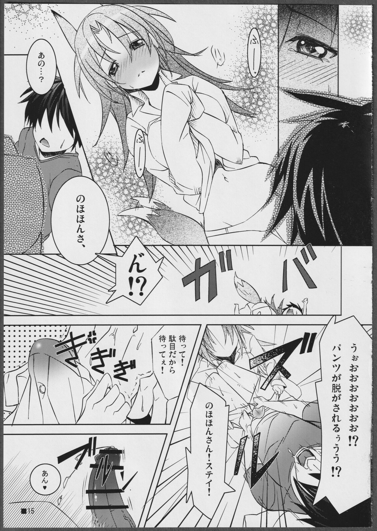 (C81) [STRAY SHEEP (Mino Inomi)] Nohohon-san no Hon #01 (IS <Infinite Stratos>) image number 15