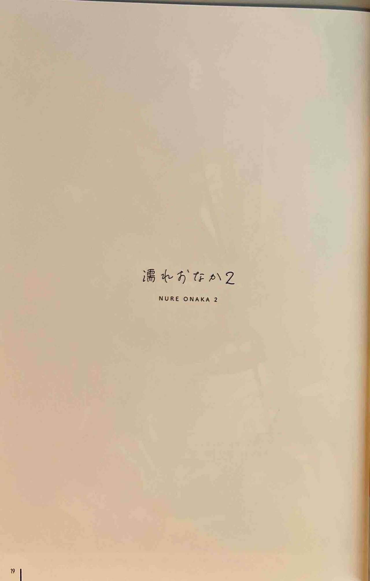 [MIGNON WORKS (mignon)] Nure Onaka Soushuuhen numero di immagine  20