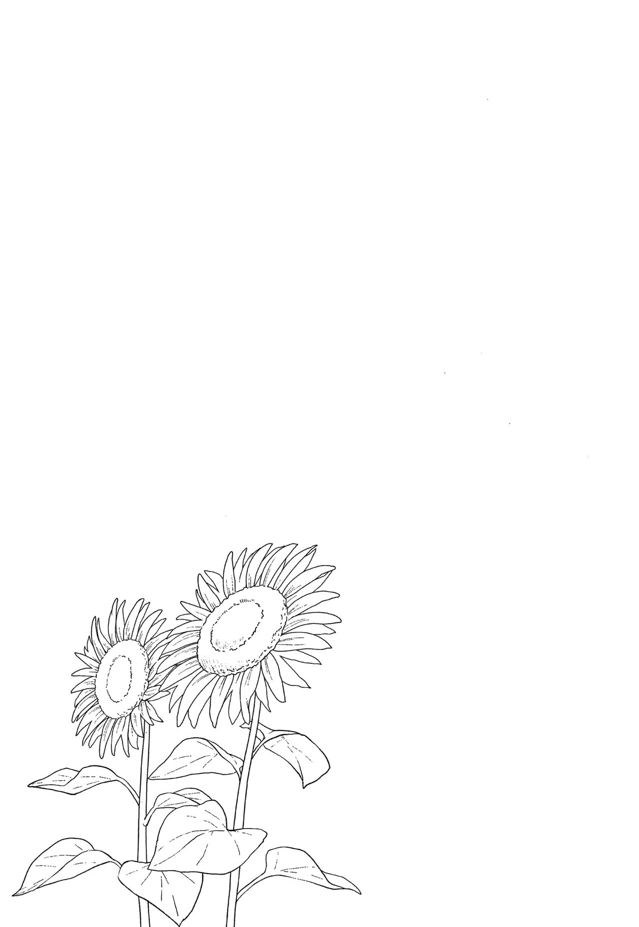 [Meganei] Shishunki no Obenkyou [Spanish] [SC][Black Abandoned Scan] [Decensored] image number 146