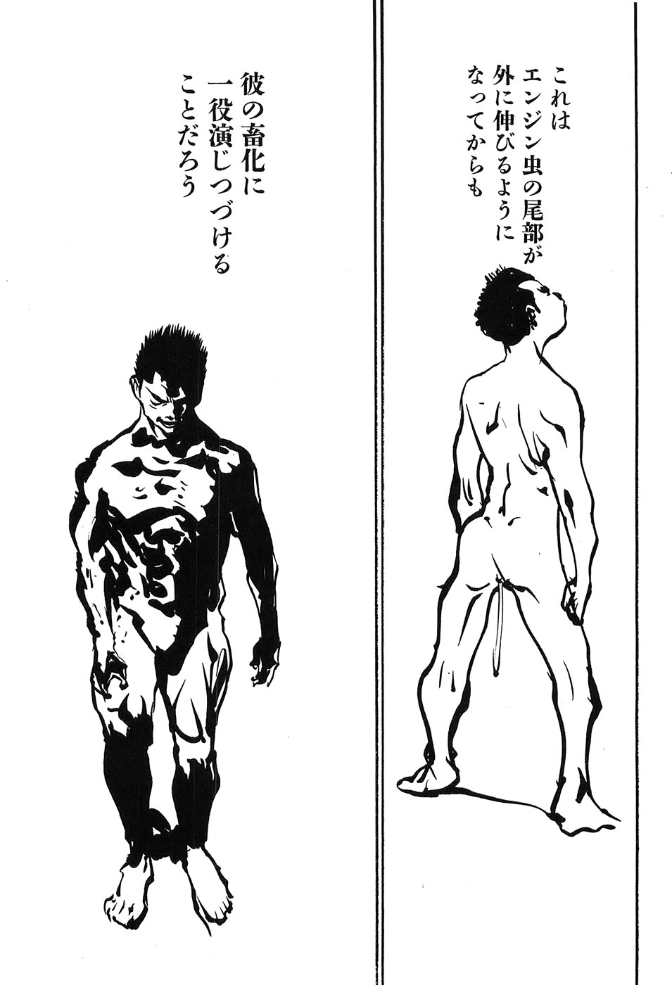 Yapoo the human cattle vol.09 图片编号 148