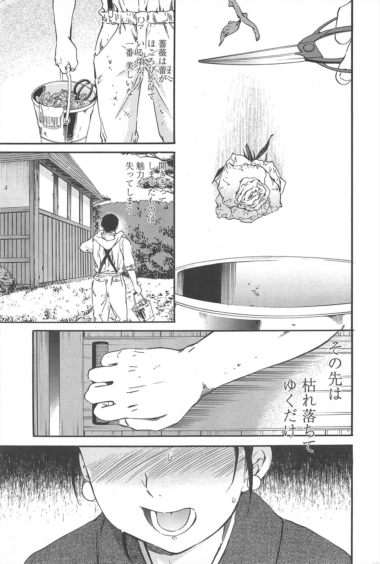 COMIC Penguin Celeb 2010-09 imagen número 71