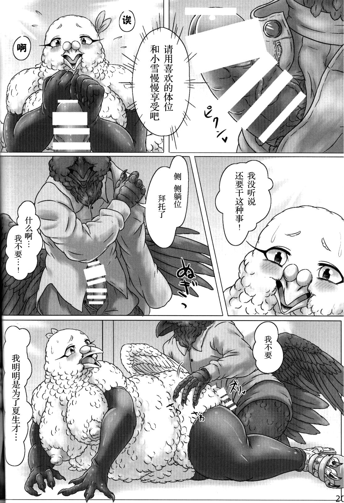 (Kemoket 4) [Imomushi Kyouiku Madoguchi (Bubonic)] Hato Oku-sama no Late Show | 鸽夫人的深夜秀 [Chinese] [尾窝汉化组] 图片编号 19