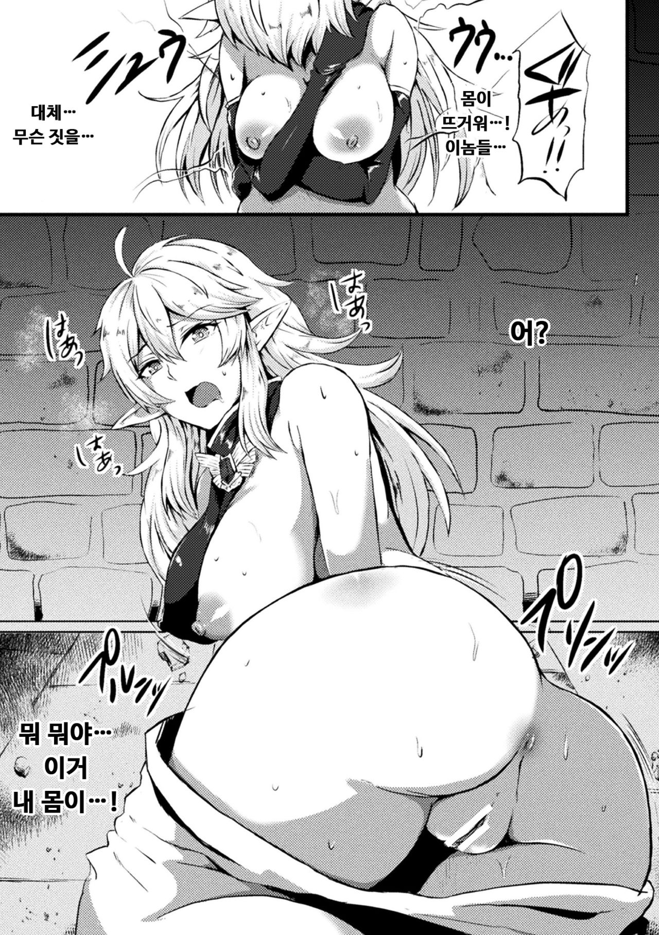 [Kisaragi Yuu] TS Ouji Mikhail Haishin no Mesu Elf | TS 왕자 미하일 -배신의 암컷 엘프- (2D Comic Magazine TS Akuochi Nyotaika Shita Seigikan-tachi ga Akuten Acme! Vol. 2) [Korean] [Digital] image number 3