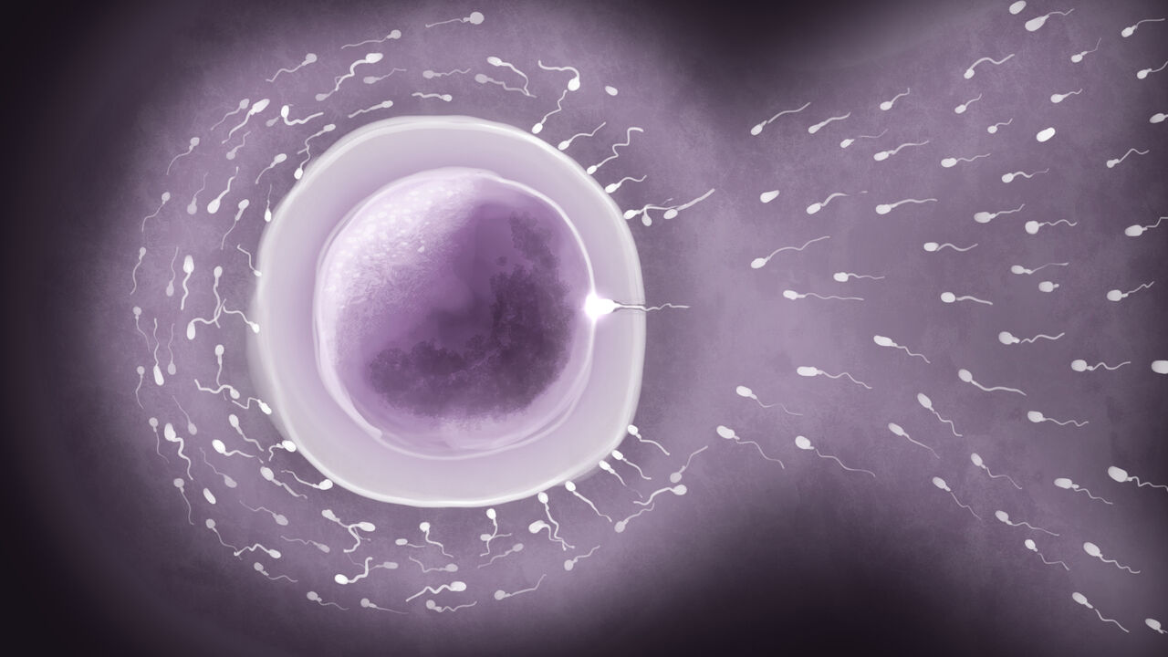 [サークルめでをい] 寝取られネネさん第2子種付け編 image number 71