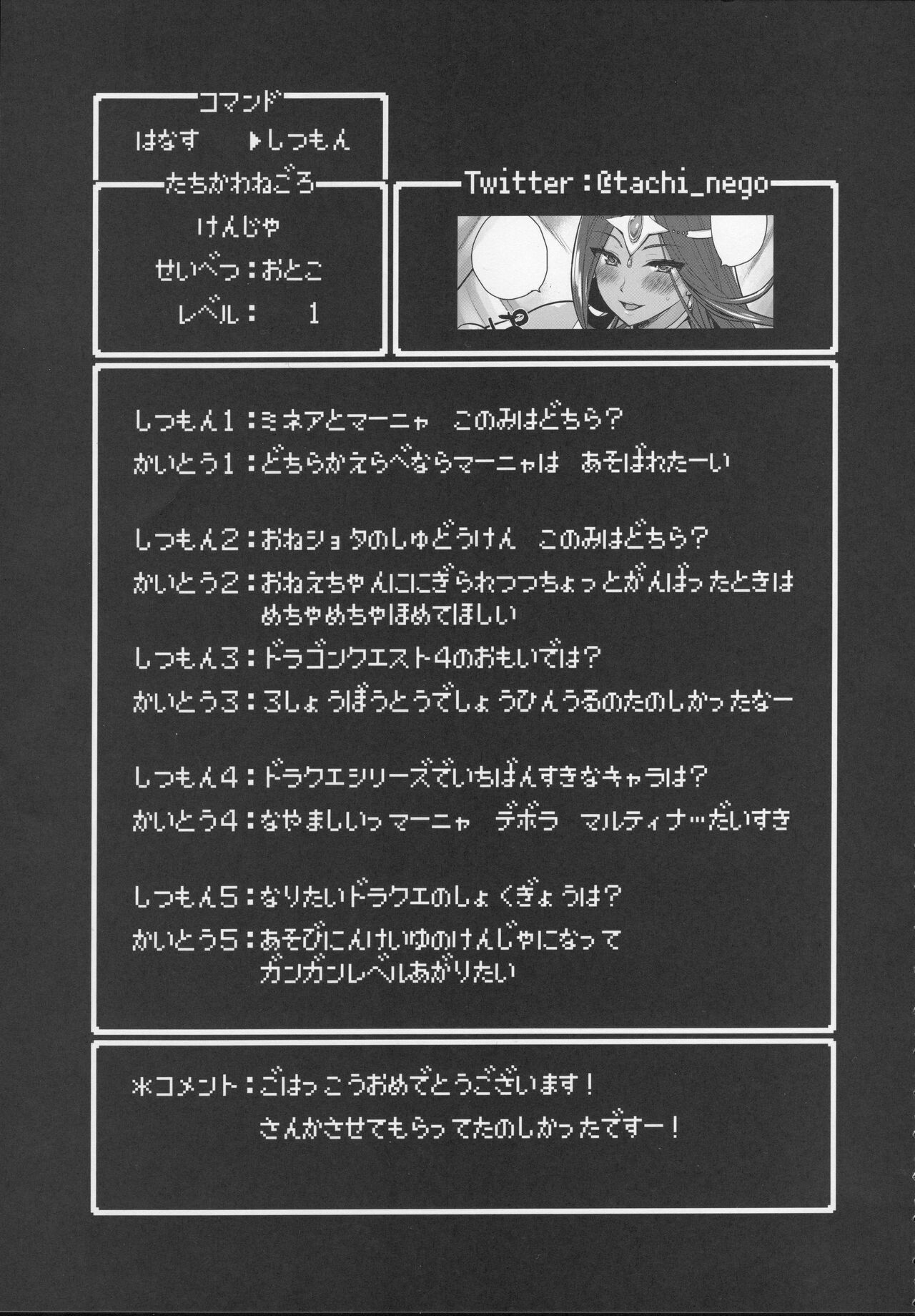 (C100) [Mizore Art Garden (Yuki Mizore)] Yoru no  Gypsy Dance   (Dragon Quest IV) imagen número 12