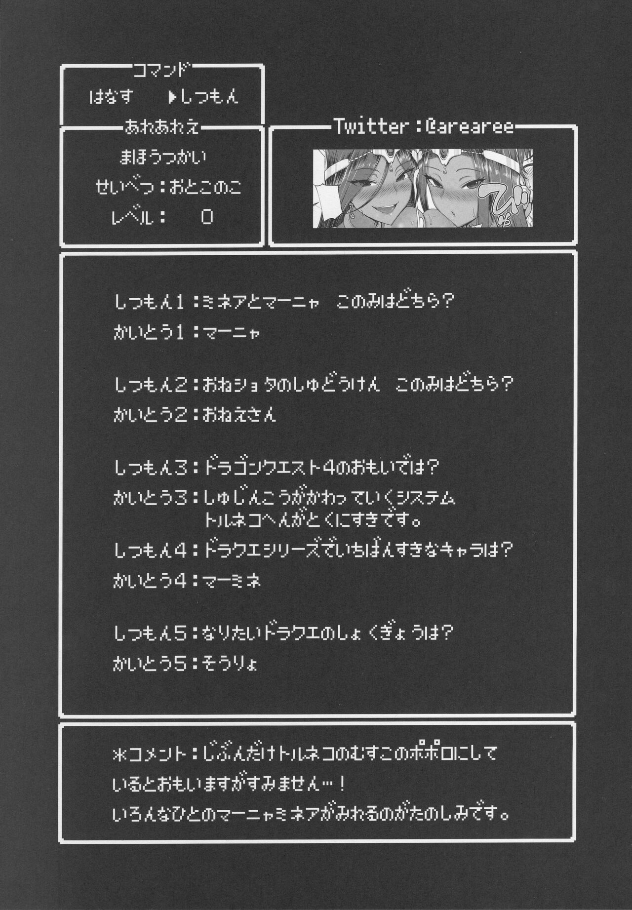 (C100) [Mizore Art Garden (Yuki Mizore)] Yoru no  Gypsy Dance   (Dragon Quest IV) imagen número 20