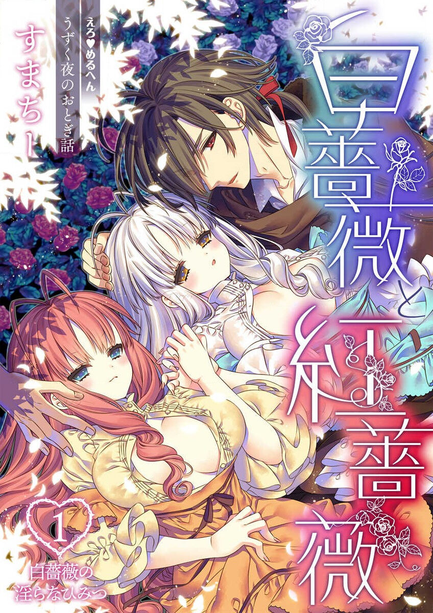 [Sumachi] shirosobi to akabara 1 shirosobi no midarana himitsu | 白蔷薇和红蔷薇 1 白蔷薇淫乱的秘密 (ero ◆ meru hen uzuku yoru no otogibanashi 2) [Chinese] [莉赛特汉化组] 画像番号 3