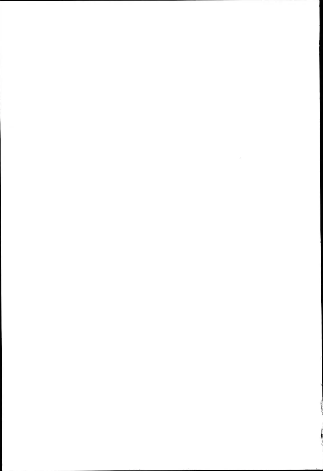 [Español] Idol sister 이미지 번호 5