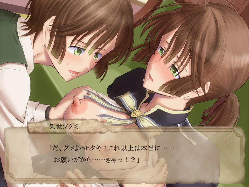 [R.S.G.] Kurutta Kajitsu (Nil Admirari no Tenbin) 이미지 번호 13