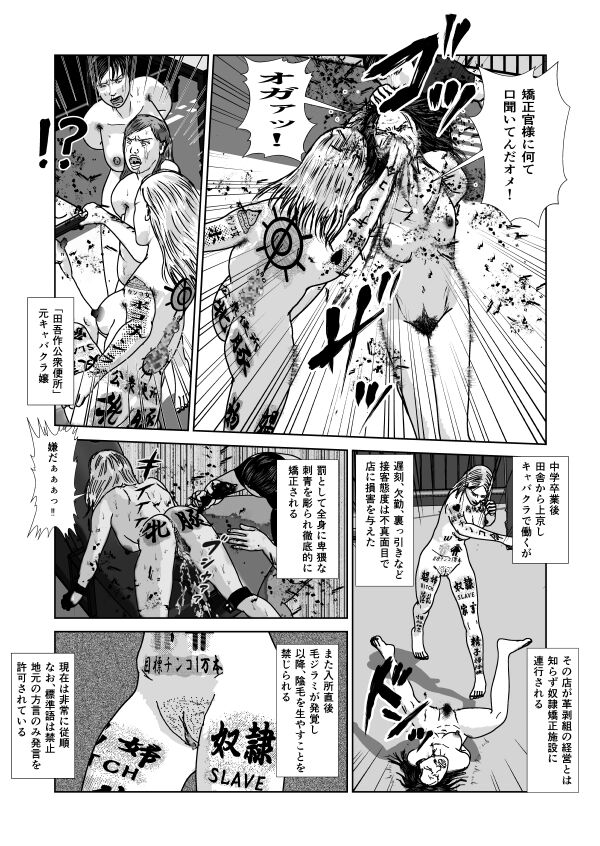 [青井 ノリ] 奴隷闘女3 18eme image