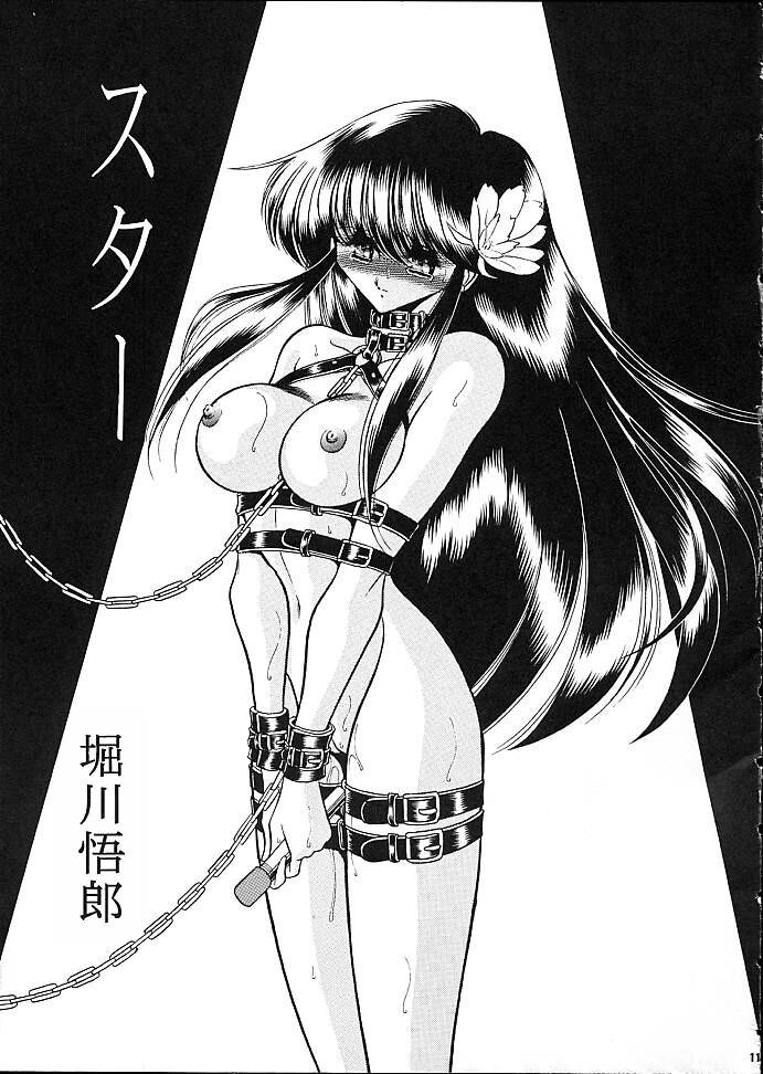 (C53) [Circle Taihei-Tengoku (Horikawa Gorou)] Star [Chinese] изображение № 8