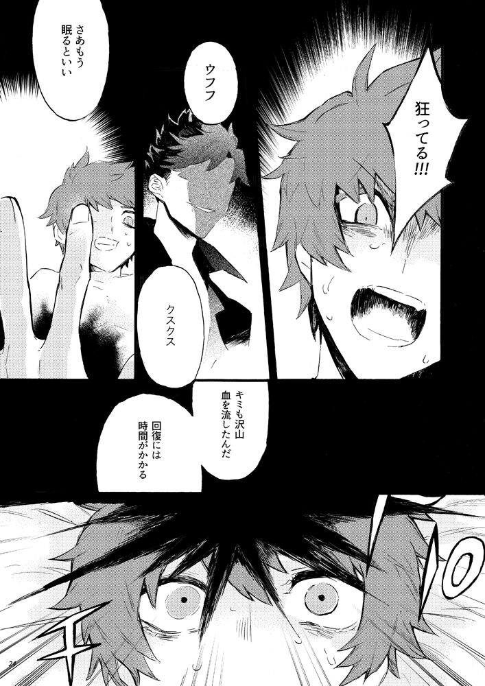 [Iodoform (Chiy)] Traumerei Stellaris I (Granblue Fantasy) [Digital] 画像番号 21