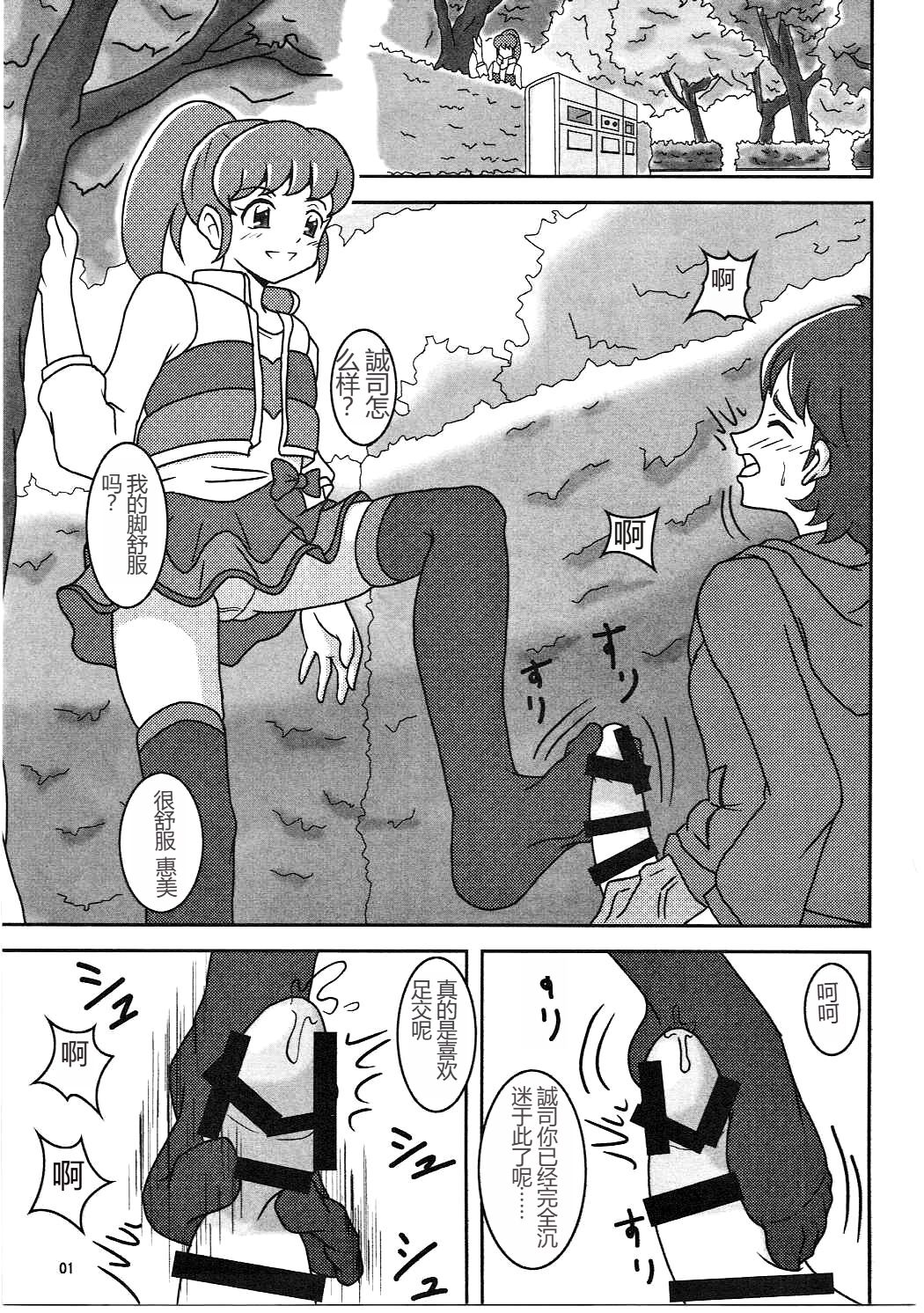 (C86) [AFJ (Ashi_O)] HappinessCharge Zuricure! (HappinessCharge Precure!)  一个人汉化 image number 2