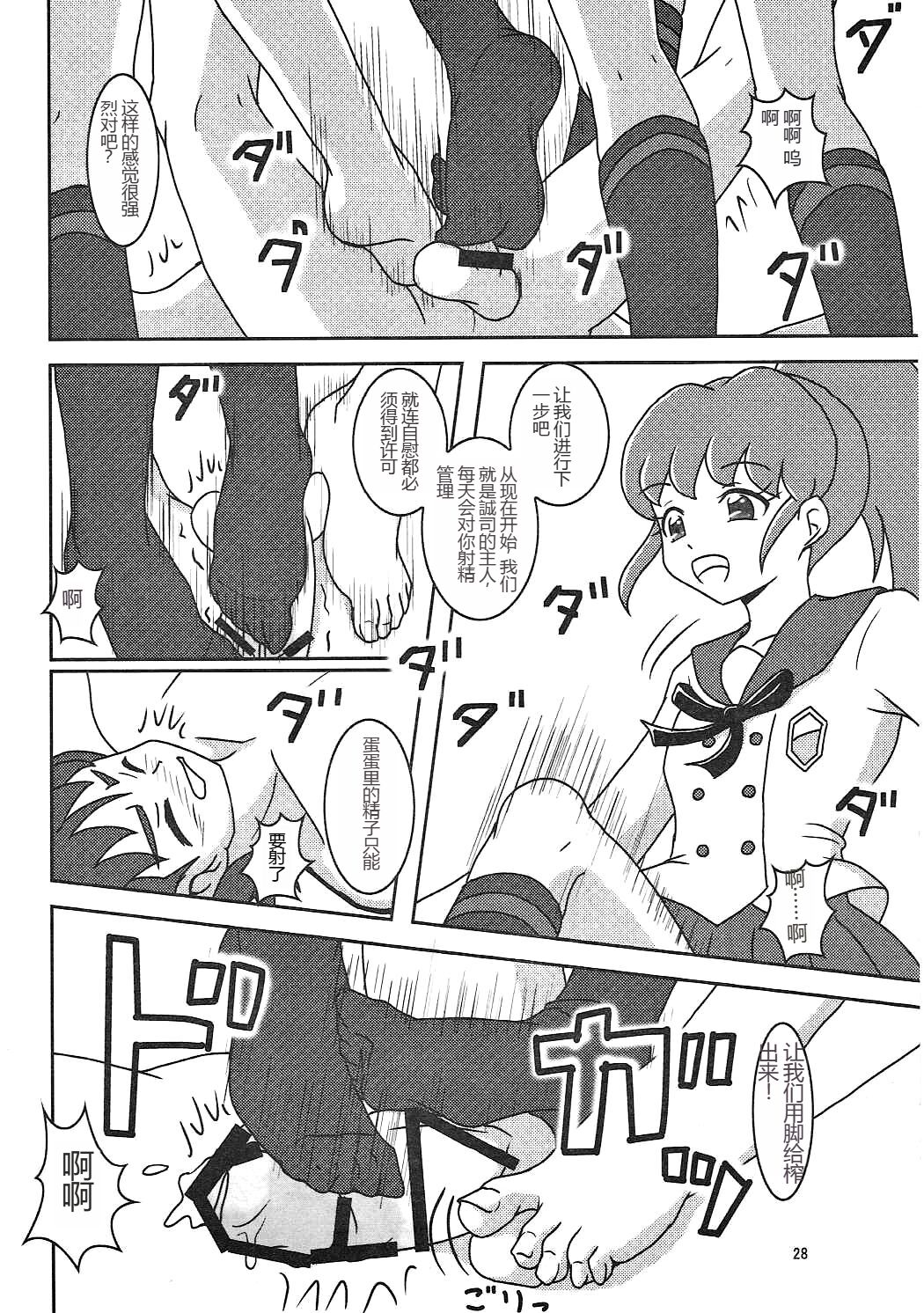 (C86) [AFJ (Ashi_O)] HappinessCharge Zuricure! (HappinessCharge Precure!)  一个人汉化 image number 29