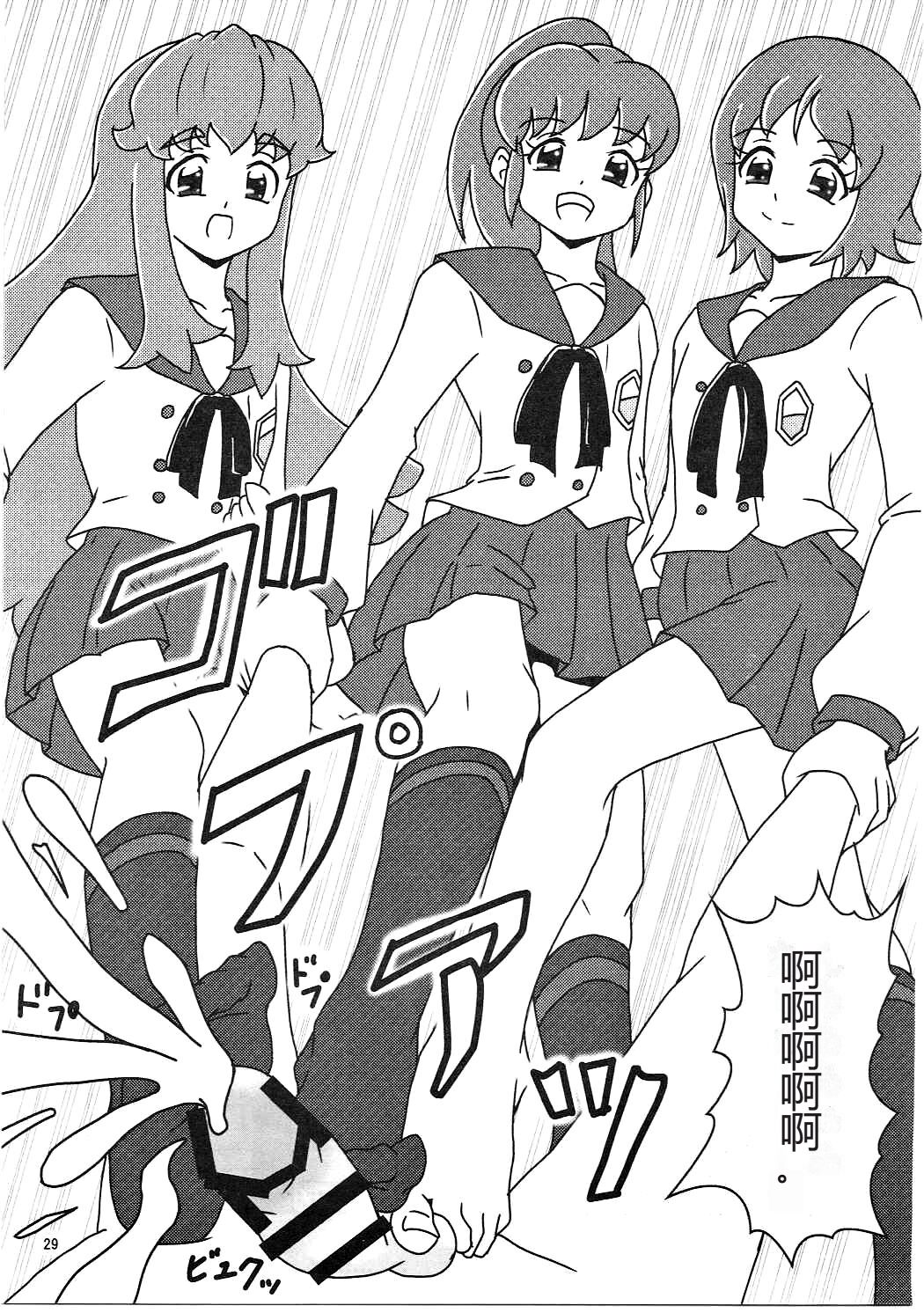 (C86) [AFJ (Ashi_O)] HappinessCharge Zuricure! (HappinessCharge Precure!)  一个人汉化 image number 30