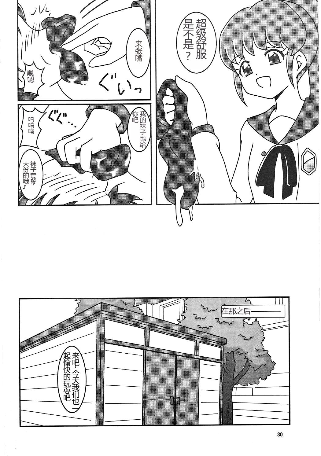 (C86) [AFJ (Ashi_O)] HappinessCharge Zuricure! (HappinessCharge Precure!)  一个人汉化 image number 31