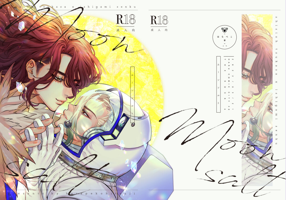 (The ROCK 6) [harapekohitsuji (Kope)] moon salt (Dr. STONE) [Chinese] 画像番号 1