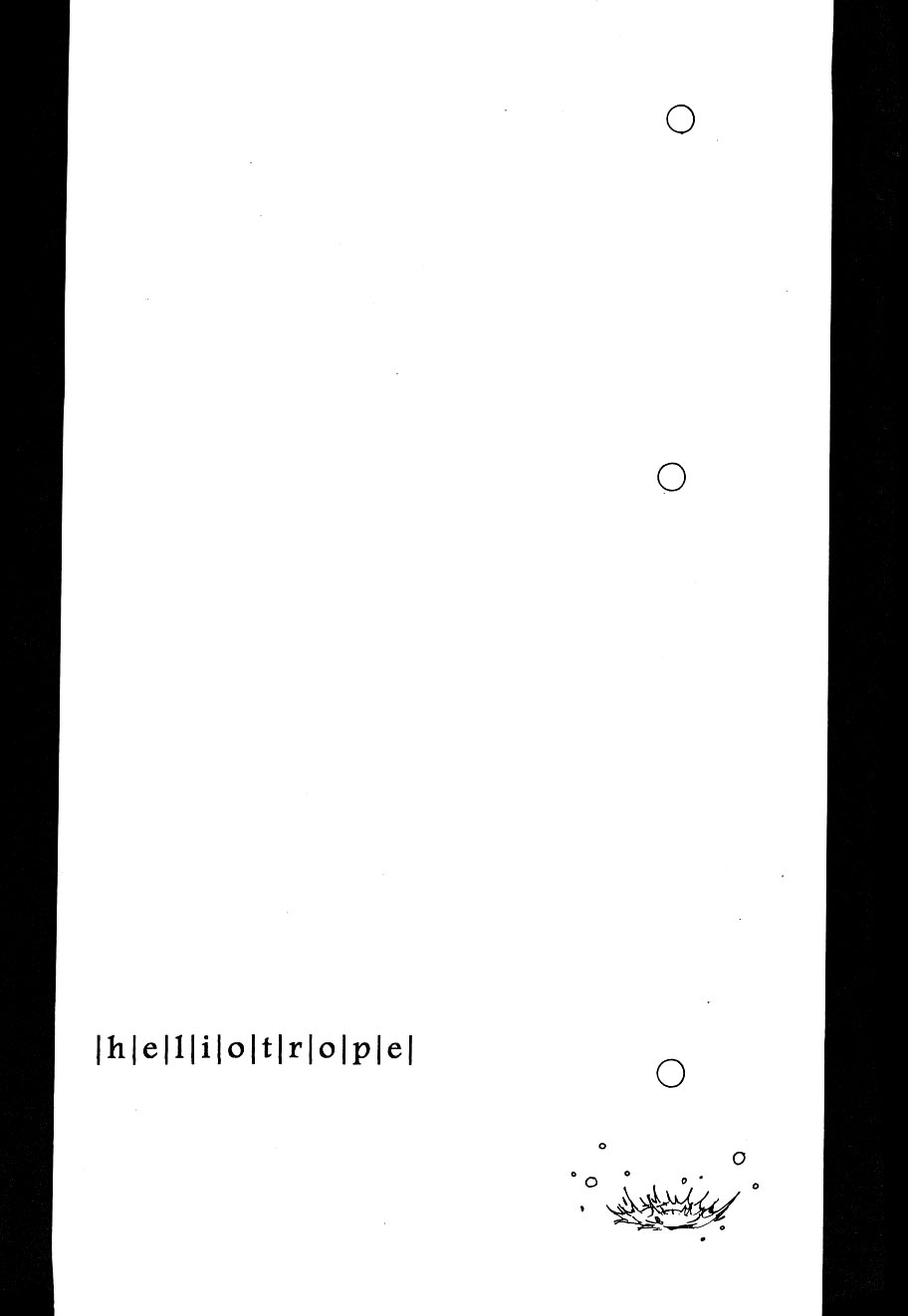 [Aozora Gundan (Hideyoshico)] Heliotrope |日光菊 (One Piece) [Chinese] 图片编号 8