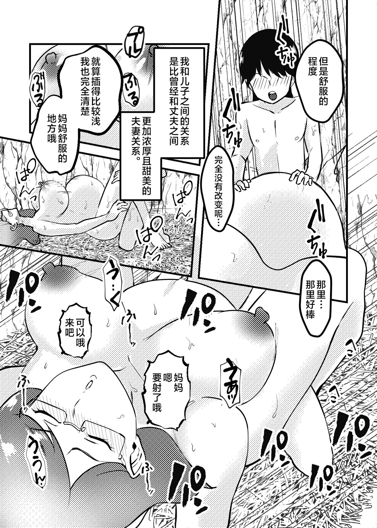 [Maria Planet (Katano Chika)] Mama to Musuko ga Mujintou de Love Love Sex suru Hanashi [Chinese] 图片编号 31