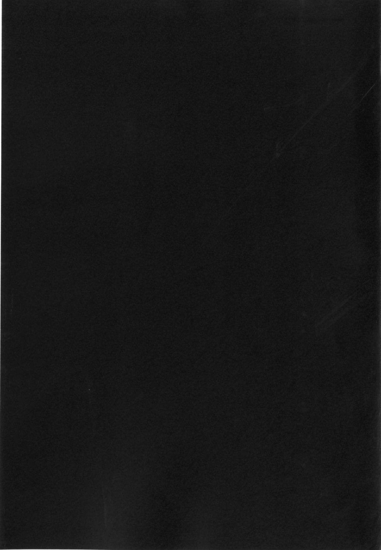 [Monorabbi (Rabbi)] Crossbell no Senka (The Legend of Heroes: Zero no Kiseki, The Legend of Heroes: Ao no Kiseki) [English] [Digital] 画像番号 24