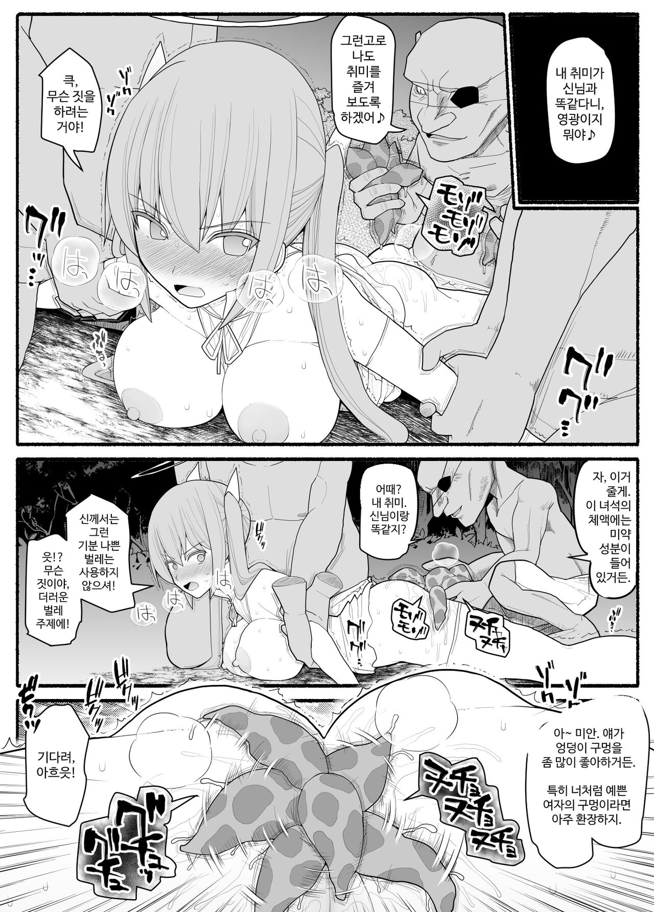 [EsuEsu] Ikusa Otome Bad End [korean] image number 11