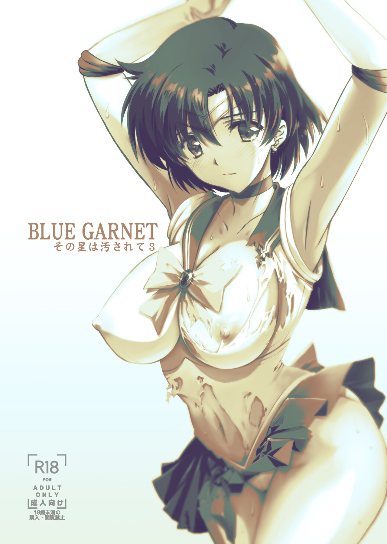 [BLUE GARNET (Serizawa Katsumi)] Sono Hoshi wa Yogosarete 3 (Bishoujo Senshi Sailor Moon) [Chinese] [Digital] 이미지 번호 20