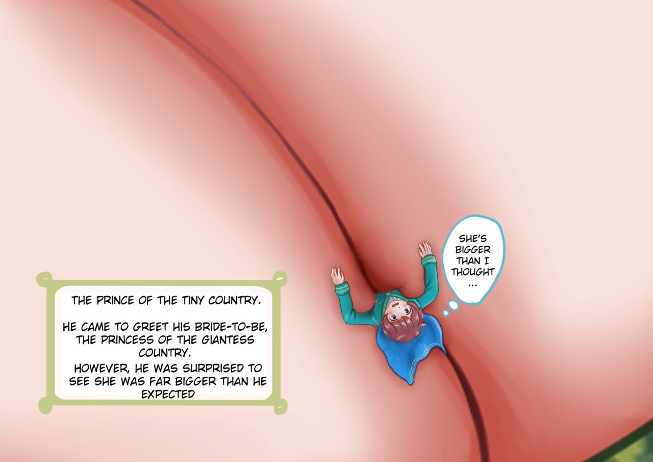 [Karuno Kamo] Prince from the Tiny Country imagen número 1