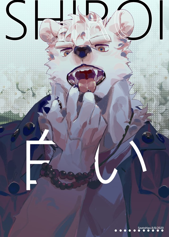 SeatoHao 画像番号 5