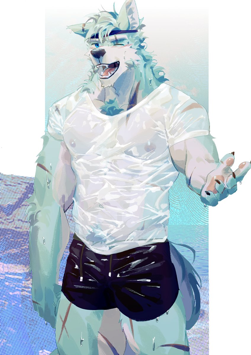 SeatoHao 画像番号 13